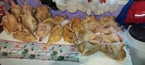 gaini de tara crescute natural 