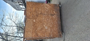 Vand Cusca de  iepuri sau schimb cu capra  - imagine 3