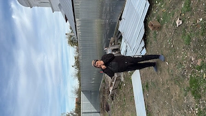 Mercedes C200 CDI   Euro 5