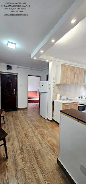 Apartament 2 camere decomandate, etaj 1, mobilat, utilat, boxa, Precista- zona Biserica Noua - imagine 11