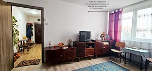 Apartament 2 camere decomandate, etaj 1, mobilat, utilat, boxa, Precista- zona Biserica Noua - imagine 6