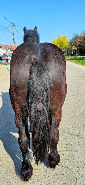 Van un manz de 2 ani  - imagine 5