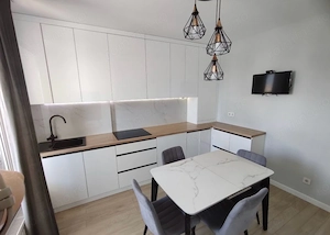 Apartament 2 camere de inchiriat in zona Costin Georgian - imagine 4