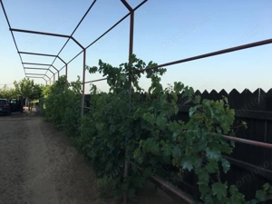 Casă spațioasă 184 mp de vânzare – Sadova, Dolj - imagine 2