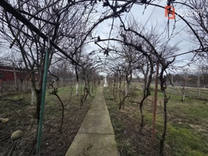 Casa individuala de vanzare | Calea Timisorii | Teren 1649 mp - imagine 9