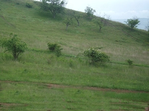 Teren de vanzare intravilan in Vintu  - imagine 2