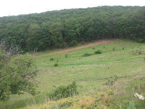 Teren de vanzare intravilan in Vintu  - imagine 3