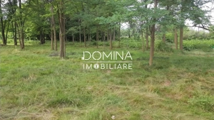 Vanzare teren intravilan 6843 mp, aproape de Manastirea Polovragi  - imagine 8