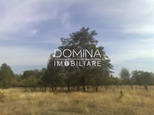 Vanzare teren intravilan 6843 mp, aproape de Manastirea Polovragi  - imagine 6