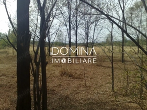 Vanzare teren intravilan 6843 mp, aproape de Manastirea Polovragi  - imagine 7