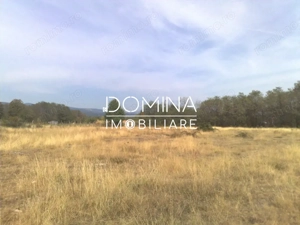 Vanzare teren intravilan 6843 mp, aproape de Manastirea Polovragi  - imagine 5