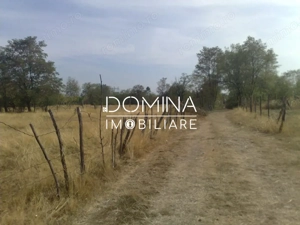Vanzare teren intravilan 6843 mp, aproape de Manastirea Polovragi  - imagine 3