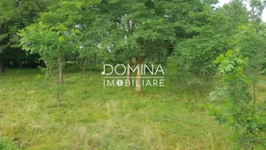 Vanzare teren intravilan 6843 mp, aproape de Manastirea Polovragi  - imagine 2