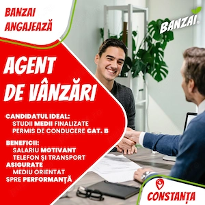 Angajam Agent vânzări   domiciliu preferat Miercurea Ciuc, județul Harghita - imagine 2