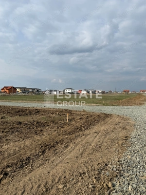 Mosnita Noua, front stradal 22 ml - imagine 2