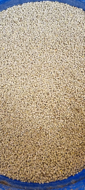 Mancare pt pui  - imagine 2