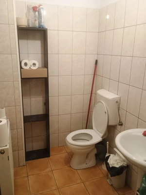 Spatiu comercial Titulescu Banu Manta 260 mp - imagine 7
