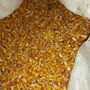 Porunb de vânzare - imagine 2