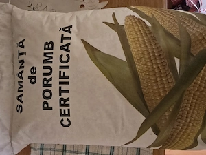Vând porumb de sămânță 