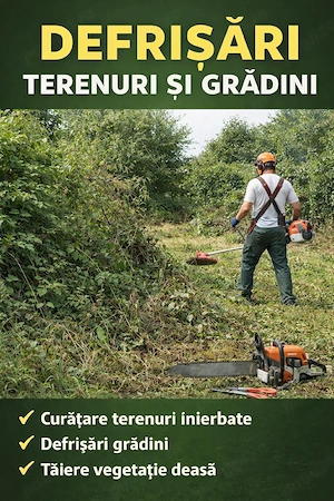 defrisare terenuri 
