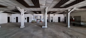 Inchiriez grup de hale cu platforma betonata - imagine 2