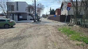 Teren de vanzare in Palazu Mare, Elvila - 973 mp - imagine 4