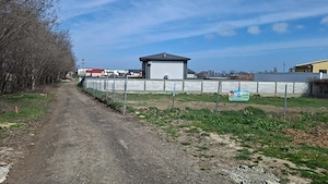 Teren de vanzare in Palazu Mare, Elvila - 973 mp - imagine 3