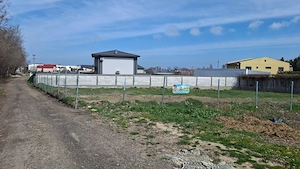 Teren de vanzare in Palazu Mare, Elvila - 973 mp