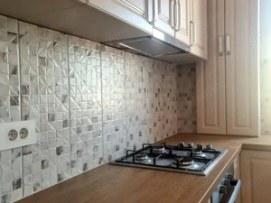 Apartament cu 2 camere, prima inchiriere - Roka Residence, Micro 17 - imagine 9