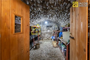 Casa, anexe, 3762 mp teren, 25000 mp padure, Comanesti, jud. Bacau - imagine 20