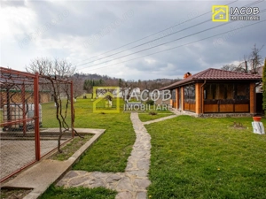 Casa, anexe, 3762 mp teren, 25000 mp padure, Comanesti, jud. Bacau - imagine 9
