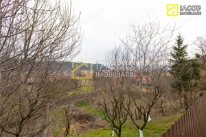 Casa, anexe, 3762 mp teren, 25000 mp padure, Comanesti, jud. Bacau - imagine 17