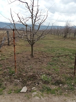 Vânzare teren intravilan si extravilan! - imagine 2