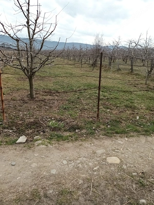 Vânzare teren intravilan si extravilan! - imagine 4