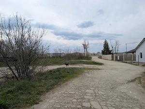 Teren cu hale Halanga principala dn67 calea targu jiu - imagine 2