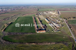 NĂDLAC | Teren 1.15 HA lângă Autostradă | 2.500mp Hale