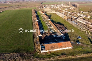 NĂDLAC | Teren 1.15 HA lângă Autostradă | 2.500mp Hale - imagine 4