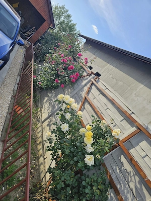 Casa individuala premium langa Bucuresti | 167 mp utili | teren 360 mp | Clasa energetică A - imagine 4