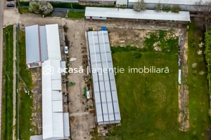 Hale depozitare/producție 2.000 mp si 10.000 mp teren în Pecica - imagine 4