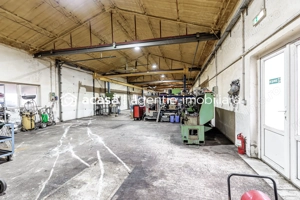 Hale depozitare/producție 2.000 mp si 10.000 mp teren în Pecica - imagine 12