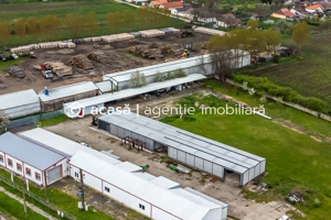 Hale depozitare/producție 2.000 mp si 10.000 mp teren în Pecica - imagine 2