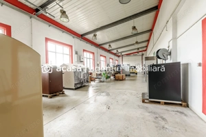 Hale depozitare/producție 2.000 mp si 10.000 mp teren în Pecica - imagine 10