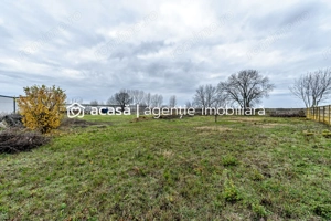 Hale depozitare/producție 2.000 mp si 10.000 mp teren în Pecica - imagine 14