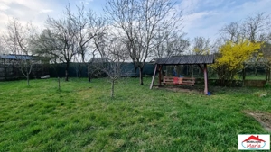 Casa in Micula cu teren 34 arii - imagine 3