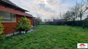 Casa in Micula cu teren 34 arii - imagine 14