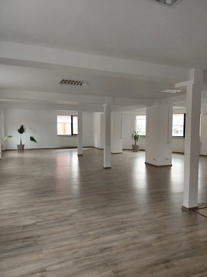 Firma ofer spre vanzare imobil D+P+3E+M, functiuni mixte, suprafata utila 791mp.  - imagine 8