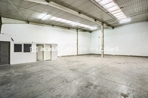 Hala Arad 227 MP - imagine 2