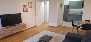 Apartament tip studio de inchiriat in zona Blumana - imagine 5