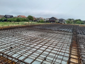 Individuala Parter Becicherecu Mic, Zona Semicentrala,4 Camere,Teren 800 mp - imagine 17