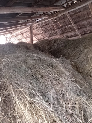 Fan de vânzare, Pucioasa, Dambovita